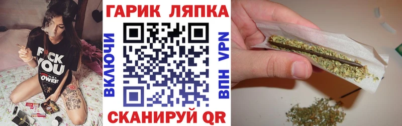 где можно купить   Гусиноозёрск  Гашиш Premium 