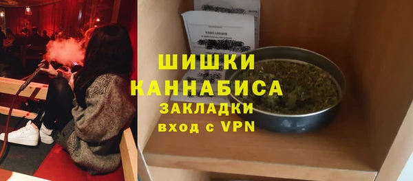 дмт Бородино