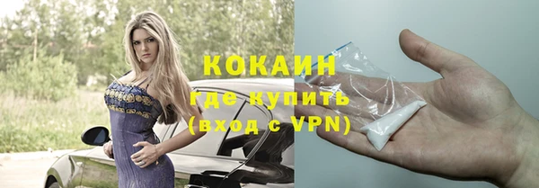 дмт Бородино