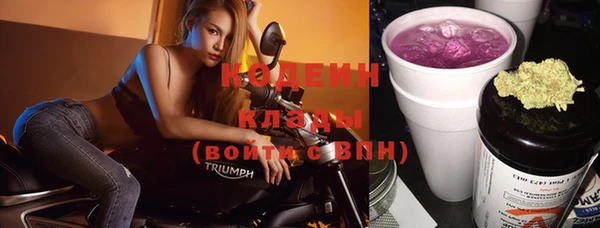 дмт Бородино