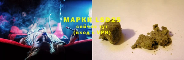 дмт Бородино