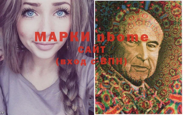 дмт Бородино