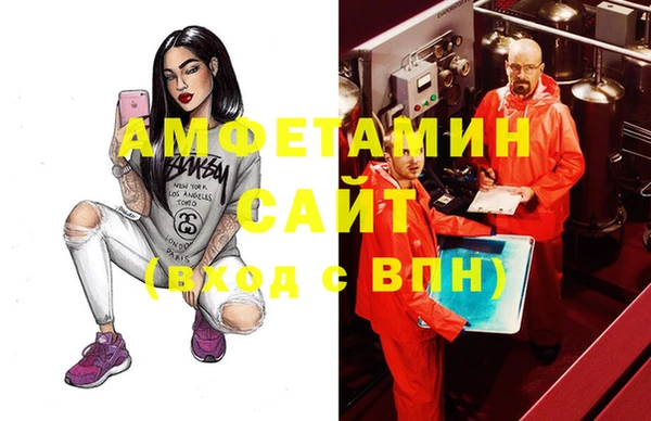 дмт Бородино