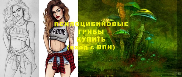 твердый Бугульма