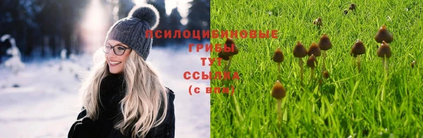 твердый Бугульма