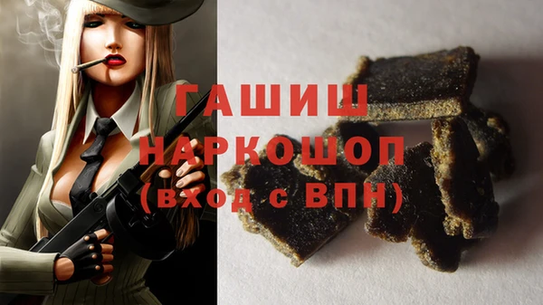 дмт Бородино